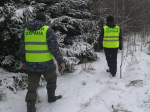 Охрану хвойных лесов Тульской области усилили в преддверии новогодних праздников