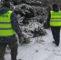 Тульская полиция напоминает об ответственности за нарушения при реализации хвойных пород деревьев - Молодой коммунар