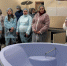 400 семей из Тульской области посетили перинатальный центр в Дни открытых дверей - Молодой коммунар