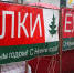 Где в Туле можно купить живую елку и сколько она будет стоить? - ИА Тульская пресса.Ru