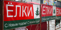 Где в Туле можно купить живую елку и сколько она будет стоить? - ИА Тульская пресса.Ru