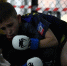 Спортсмены из трех регионов участвуют в турнире MMA памяти Дмитрия Кузнецова - ИА Тульская пресса.Ru
