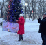 Дарья Герасимова приняла участие в открытии елки - Городская Дума