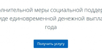 В Тульской области дети ветеранов боевых действий могут получить 10 тыс. рублей - ИА Тульская пресса.Ru
