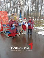 Деды Морозы устроили флешмоб в Комсомольском парке Тулы