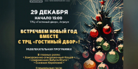 Шутки, праздник и веселье: «Гостиный двор» приглашает отметить Новый год - ИА Тульская пресса.Ru