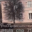 После столкновения на улице Металлургов в Туле один из участников ДТП врезался в дерево - Комсомольская Правда