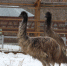 _IMG_5654.jpeg - Myslo.Ru