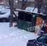 В Туле сотрудники «Хартии» высыпали мусор из бака на асфальт - ИА Тульская служба новостей