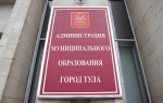 За порядком в Туле 8 января будет следить Дмитрий Городничев