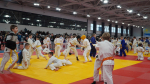 Порядка 300 юных дзюдоистов участвуют в Новогоднем межрегиональном турнире