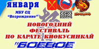 В Алексине состоится турнир по карате киокусинкай «Боевое крещение» - Департамент по спорту и туризму