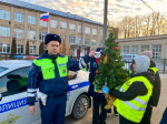 Сотрудники Госавтоинспекции города Новомосковск Тульской области совместно с Юными инспекторами движения нарядили \"Елку безопасности\"