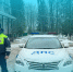 Тульские инспекторы вызволили из снежного плена потерявшийся грузовик - ГТРК