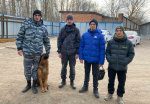 JPG Файл