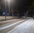 Пьяная автоледи не справилась с «Лексусом» и попала в ДТП на Щегловской засеке в Туле - Молодой коммунар