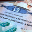 Более 11 тысяч тульских семей распорядились материнским капиталом в 2024 году - ИА Тульская служба новостей