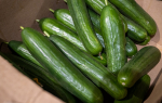 Тулякам рассказали, какие продукты подорожали больше всего за неделю