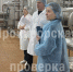 Прокуратура нашла серьезные нарушения на молокозаводе в Кимовске - Myslo.Ru