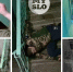 «Живем в аду!»: неадекваты захватили подъезд в Заречье. Видео - Myslo.Ru