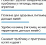 "Летят пачками на улицу": волонтер о важности стерилизации животных - ГТРК