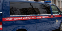 В Щекине двое мужчин ограбили 15-летнего подростка - ИА Тульская служба новостей