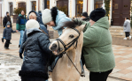 Как в Туле отпраздновали Масленицу: фоторепортаж