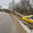 В тульском поселке Обидимо Ford Mustang улетел в кювет - Myslo.Ru