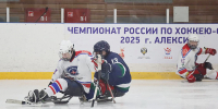 Дмитрий Миляев поздравил тульских следж-хоккеистов с победой на Чемпионате России - Правительство области