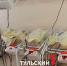 Более 12,5 тысяч детей родилось в областном перинатальном центре за 3 года - ТК Первый Тульский