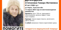 Пропавшую 87-летнюю женщину разыскивают в Тульской области - Молодой коммунар