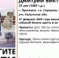 Пропавший в Протвино 37-летний мужчина с белой собакой может находиться в Тульской области - ИА Тульская служба новостей