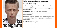 В Щекинском районе пропал 14-летний подросток в черной куртке - ИА Тульская служба новостей