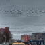 Два нарушителя попали на видео на ул. Степанова в Туле - Myslo.Ru