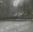 Упавшее дерево перегородило проезд на улице Дементьева в Туле - ИА Тульская служба новостей