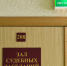 ДТП с лошадью: в Кимовске женщина судится из-за поврежденного автомобиля - Myslo.Ru