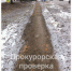 Прокуратура проконтролирует ремонт тротуара возле ЦРБ в Щёкино - ГТРК