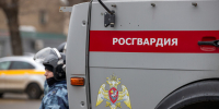 Росгвардия опубликовала видео задержания двух братьев-мошенников в Туле - ИА Тульская служба новостей
