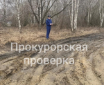 Прокуратура обнаружила отсутствующую дорогу в Богородицком районе Тульской области
