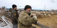 Глава Тульской области Дмитрий Миляев рассказал о фермере Павле Ляпине - ИА Тульская служба новостей