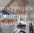 Узловская прокуратура проверила детский сад с тараканами - Центр 71