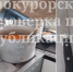 Тараканов обнаружила прокуратура в одном из детскихс адов Узловой Тульской области - Комсомольская Правда
