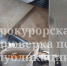 Прокуратура проверила информацию о тараканах в детском саду в Узловой - ИА Тульская служба новостей
