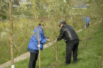29 марта в Туле пройдет общегородской субботник