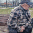 В Туле полиция задержала стрелявшего по голубям пенсионера - Комсомольская Правда
