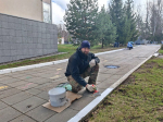Алексей Эрк, депутаты и сотрудники аппарата Тульской городской Думы приняли участие в субботнике