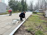 Алексей Эрк, депутаты и сотрудники аппарата Тульской городской Думы приняли участие в субботнике