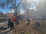В первом общегородском субботнике приняли участие больше 9 тысяч туляков