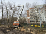 В первом общегородском субботнике приняли участие больше 9 тысяч туляков