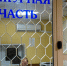 За год в Тульской области раскрыто 320 преступлений прошлых лет - ИА Тульская пресса.Ru